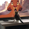 Eerste keer Lion King kijken