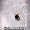 Geniale muggenval