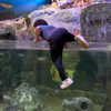 Tiktokkneusje springt in aquarium