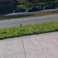 DSI op veldtocht in Enmen