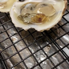 Scharende oesters