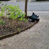 Mot je kijke jonge 
