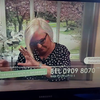 Joke ziet ze nog steeds vliegen