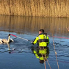 Brandweer redt jonge zwaan uit ijs