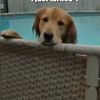 Wat doe jij in het zwembad?