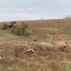 Russische BMP crew hijst de witte vlag in Kherson regio