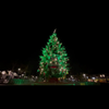 Mega kerstboom (20 meter) die kan praten. 