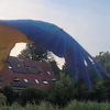 Hallo vogel? 