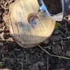 Gesmolten ijzer in een stukkie hout 