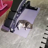 Kat doet workout