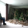 Eén kerstboom is saai! Teunis (85) heeft een heel bos in z'n huus