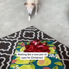 Cadeautje voor de hond 