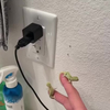 Vliegjes op de muur