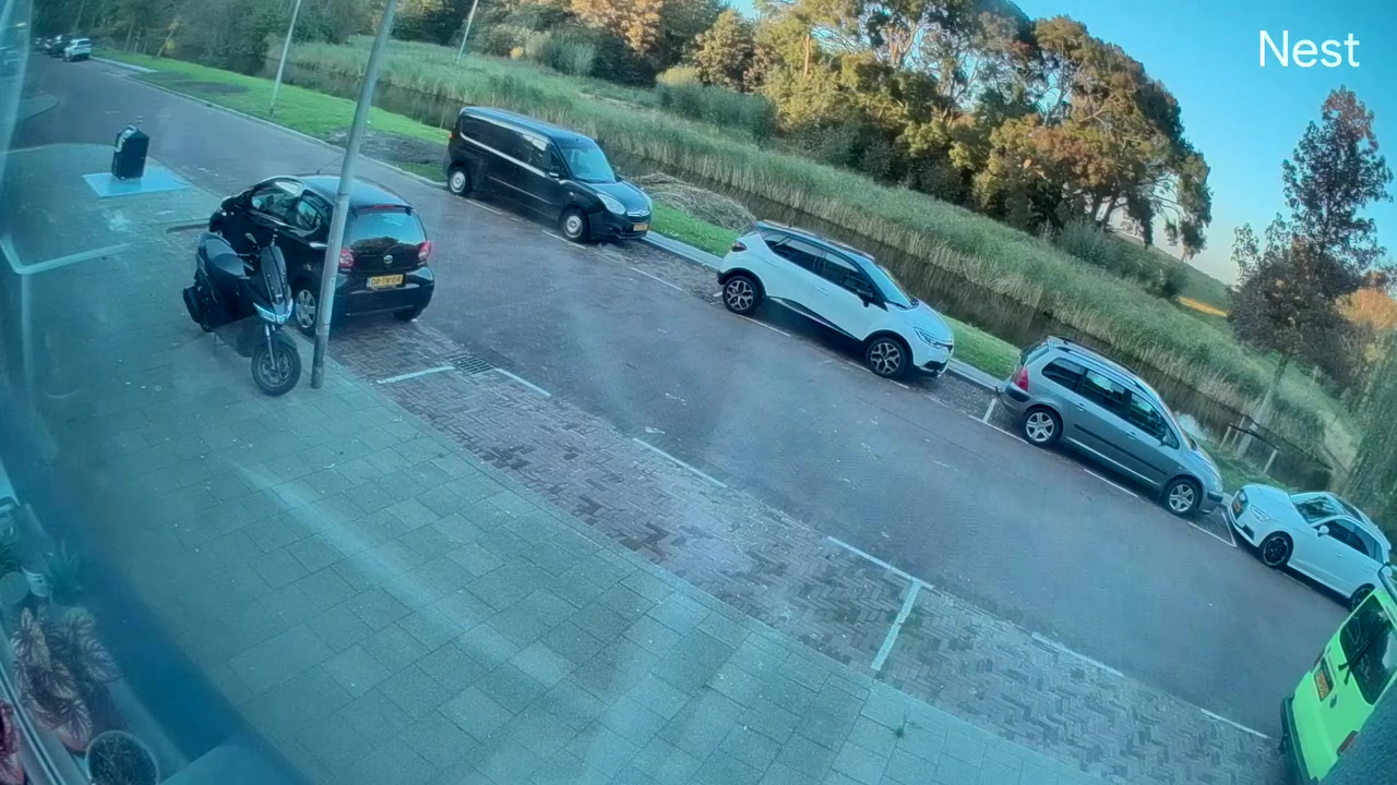 DUMPERT - Mafklappers jatten kat in Rozenburg