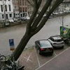 Grachtboompje gaat erbij liggen