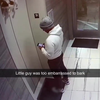Hondje bungelt aan liftdeur