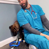 Dokter neemt de tijd voor bange hond