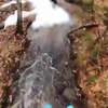Ski's gehuurd 