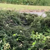 Zeldzame pokémon gespot
