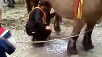 DUMPERT - paard melken