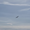 De Lancaster flyby boven Markelo