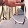 Hond is blij met nieuwe halsband