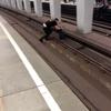 Mafklapper doet frogger in metrostation