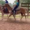 Paardenmeisje heeft een paardenstaart op d'r hoofd