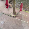 Eunice blaast boom in de grachten Amsterdam