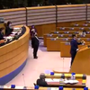 Polen in het Europees parlement 