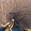Zeehond met grote vishaak in bek