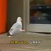 Seagull Gary