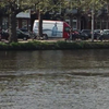Haai in Amsterdamse gracht