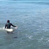Zeehondje wil ook surfen