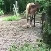 Leuk geprobeerd...