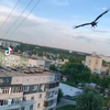 Vogeltjes voeren in Rusland