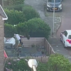 Gekkie met pistool in Leeuwarden