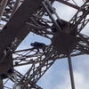 Gekkie beklimt Eiffeltoren