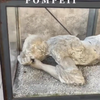 Jonge vrouw verast in Pompeii