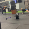 Samen trainen in de gym