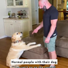 Normale mensen hun hond