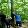 Ff een boompje omzagen in het bos
