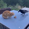 Gewoon een beetje delen