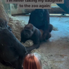Met je dochter naar de dierentuin 