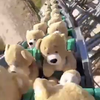 Teddyberen in de achtbaan