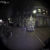 Populair boompje wel
