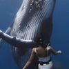 Zwemmen met walvis