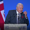 Sir David Attenborough op de klimaattop