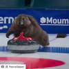 Het curlingseizoen is weer geopend