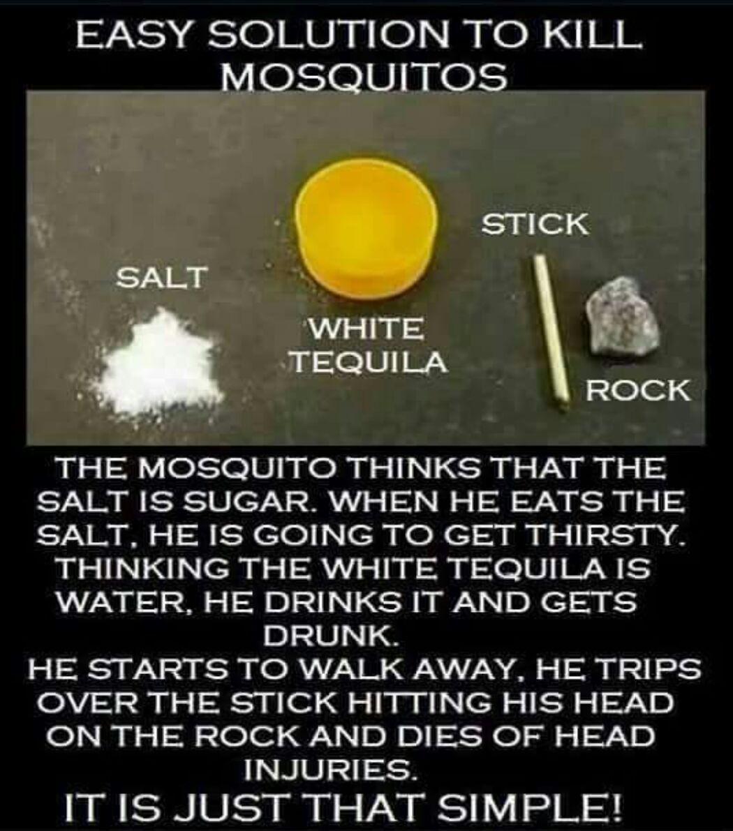 Zo vermoord je muggen